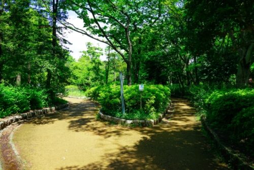 高円寺の公園_蚕糸の森公園