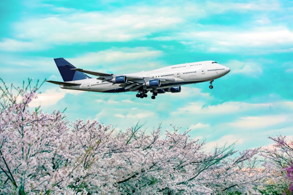 桜と飛行機