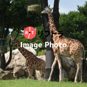 羽村市動物公園