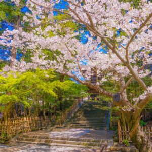 カップルで鎌倉の神社巡り！デートで行くのにおすすめな鎌倉神社をご紹介
